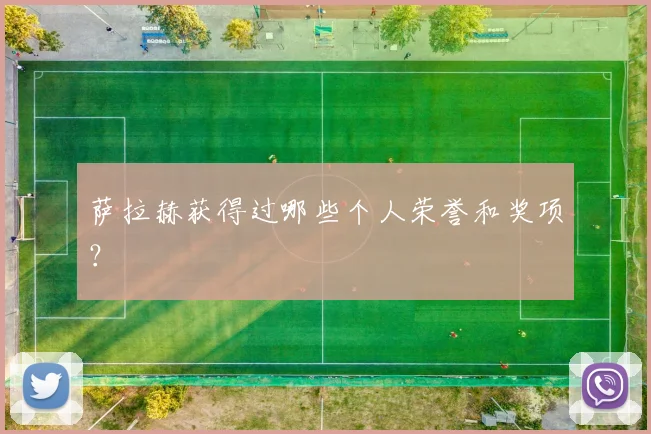 萨拉赫获得过哪些个人荣誉和奖项？