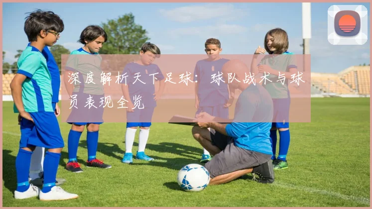 深度解析天下足球：球队战术与球员表现全览