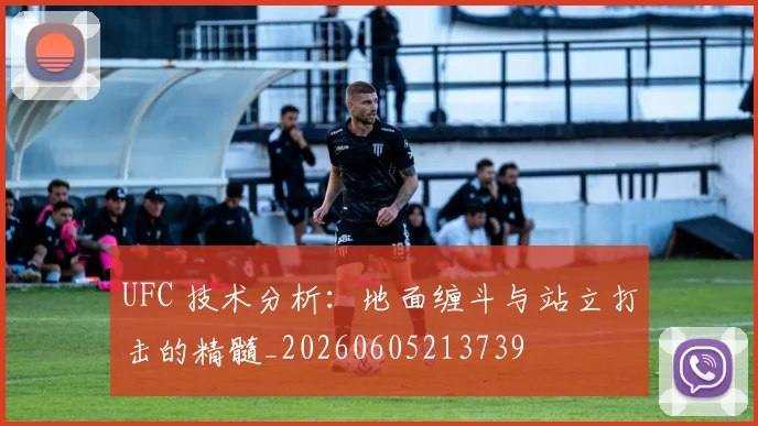 UFC 技术分析:地面缠斗与站立打击的精髓_20260605213739